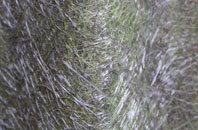 Pinwall fibreglass roof work